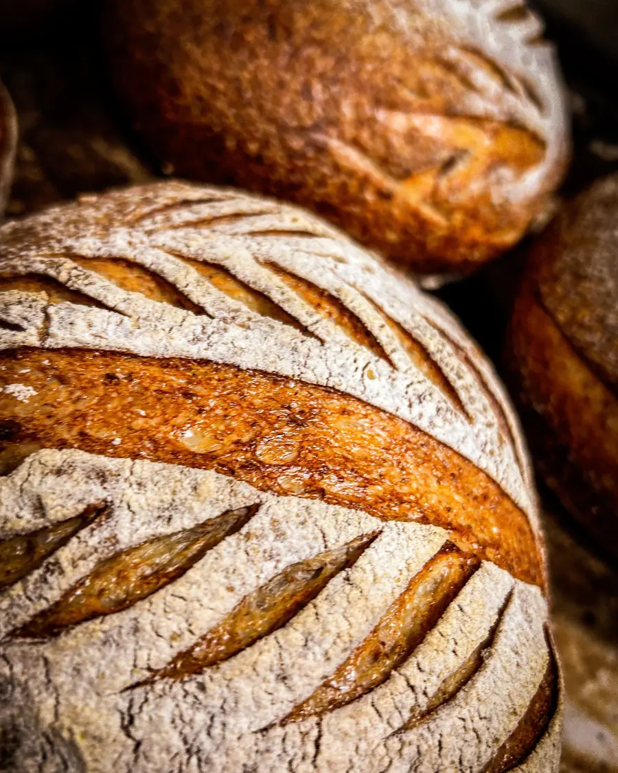 Close-up of a floured, scored sourdough loaf